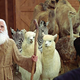 Illustration for article titled Evan Almighty